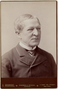 Levi Parsons Morton (1824-1920), 22º Vicepresidente de EE.UU.; foto de A Bogardus, Nueva York de American Photographer